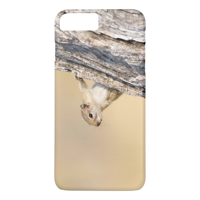 Capa Para iPhone, Case-Mate Esquilo de árvore (Verso)