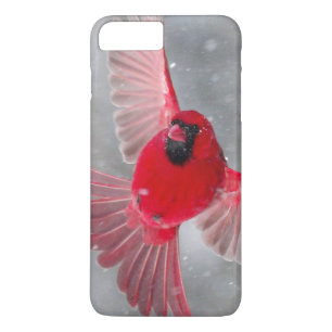 Capa iPhone 8 Plus/7 Plus EUA, Indiana, Indianapolis. Um cardinal macho