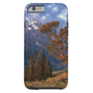 Capa Tough Para iPhone 6 EUA, Wyoming, Grand Teton NP. Um cedro solitário