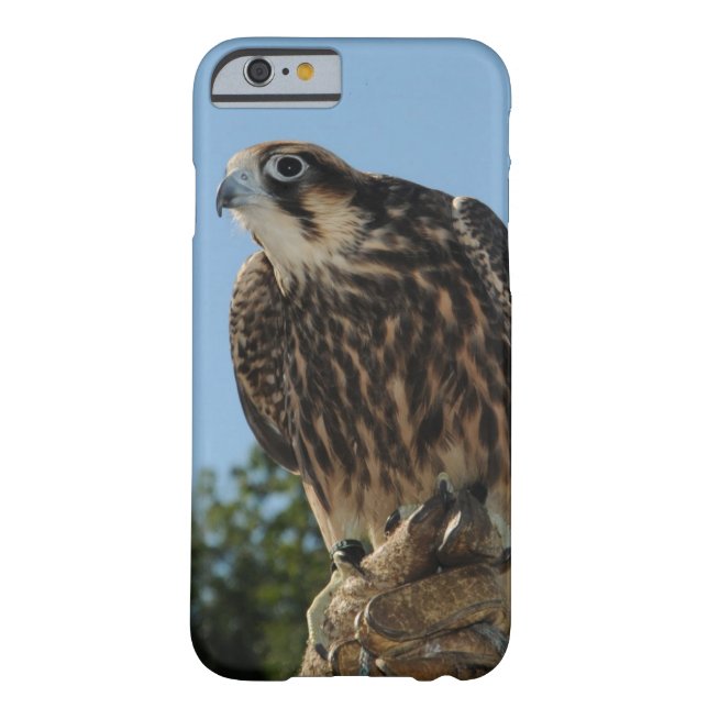 Capa Para iPhone, Case-Mate Falcão de peregrino (Verso)