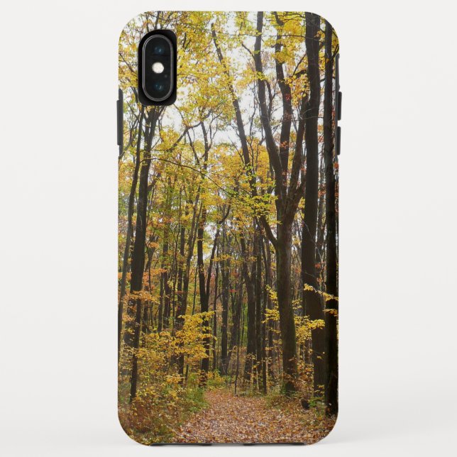 Capa Para iPhone, Case-Mate Fall Trail and Ouro Leaves no Laurel Hill Park (Verso)