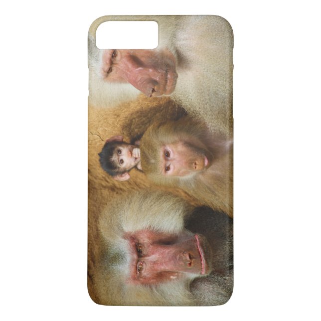 Capa Para iPhone, Case-Mate Família de Baboons Papio Hamadryas Zoo de Colônia (Verso)
