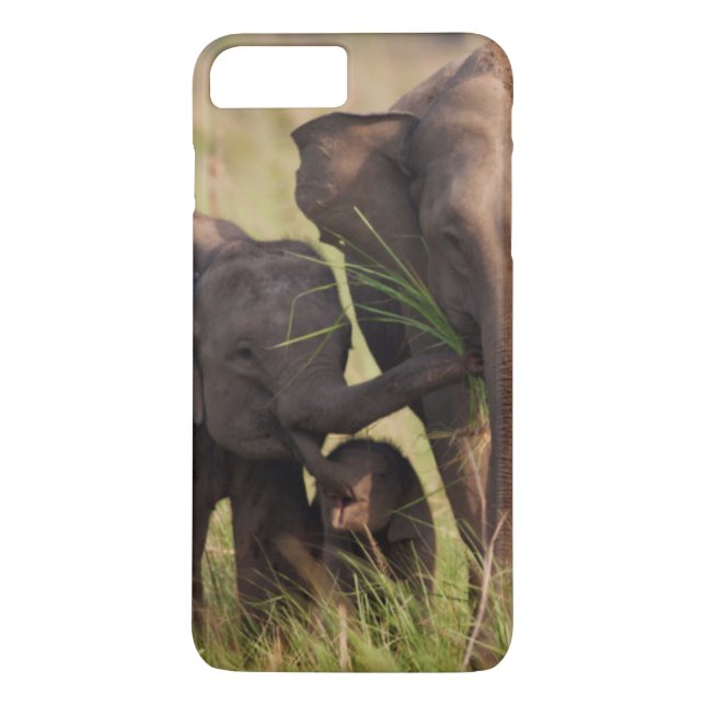 Capa Para iPhone, Case-Mate Família de Elefantes da Ásia Indiana na Savana (Verso)