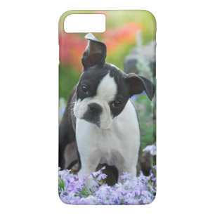 Capa Para iPhone Da Case-Mate Filhote de cachorro do cão de Boston Terrier