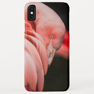 Capa Para iPhone Da Case-Mate Flamingo Rosa