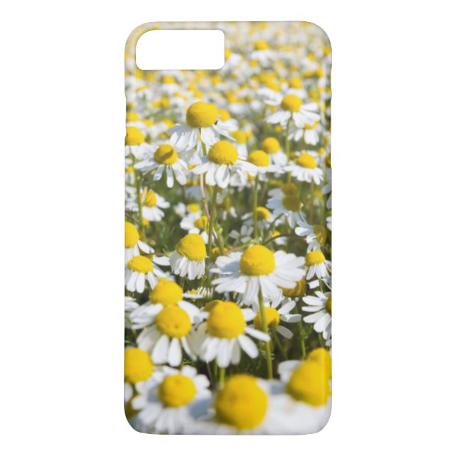 Capa Para iPhone, Case-Mate Flor de camomila close-up, Hungria (Verso)