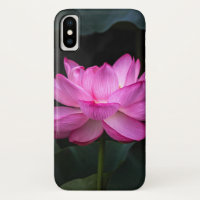 Flor de Lotus