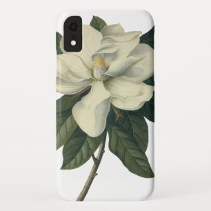Capa Para iPhone XR Flores brancas de florescência da flor da magnól