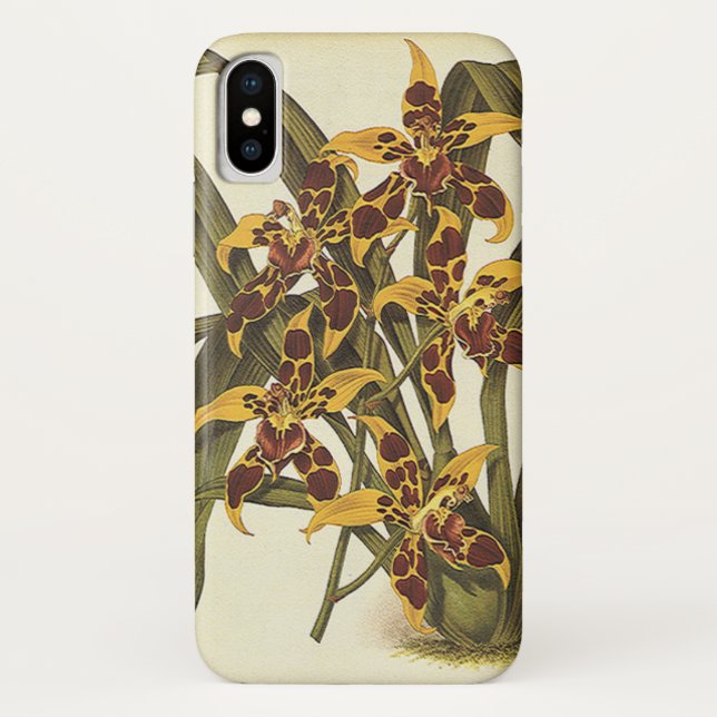 Capa Para iPhone, Case-Mate Flores Tropicais De Odontoglossum Orquídeas Vintag (Verso)
