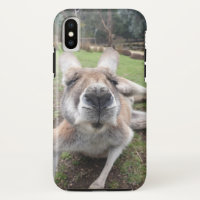 Foto Animal De Kangaroo Kawaii Cute Engraçado