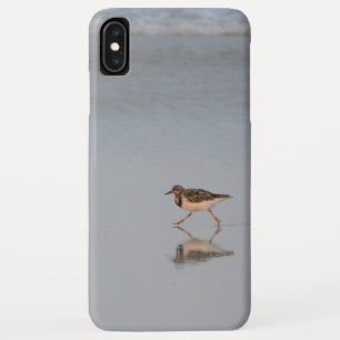 Capa Para iPhone Da Case-Mate Foto de Ave na Praia