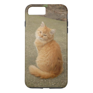 Capa iPhone 8 Plus/7 Plus Foto de Orange Kitten