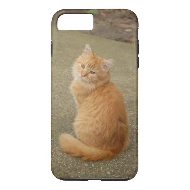 Capa Para iPhone, Case-Mate Foto de Orange Kitten (Verso)