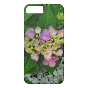 Capa iPhone 8 Plus/7 Plus Fotografia da Natureza Lindas Flores Cor-de-Rosa