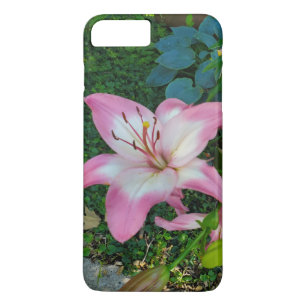 Capa iPhone 8 Plus/7 Plus Fotografia da Natureza Lindas Flores de Lírio Rosa