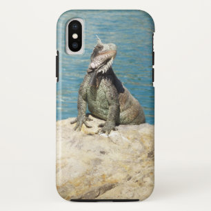 Capa Para iPhone X Fotografia da Vida Selvagem Tropical de Iguana