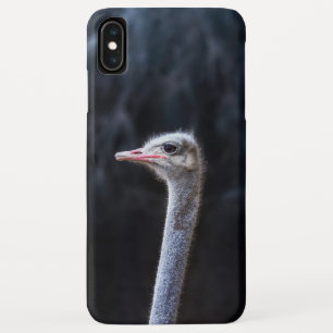 Capa Para iPhone Da Case-Mate Fotografia de Avestruz