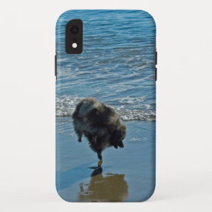 Capa Para iPhone Da Case-Mate Fotografia do Balé Keeshond - Arte de Cachorro Ori