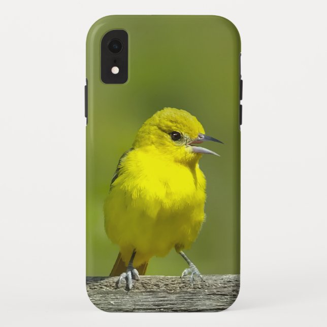 Capa Para iPhone, Case-Mate Fotom original do Papa-Figuras - Orchard Oriole (Verso)
