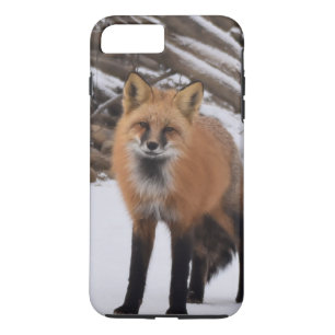 Capa Para iPhone Da Case-Mate Fox