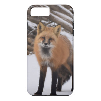 Capa Para iPhone Da Case-Mate Fox
