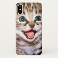 Gatinho macio adorável bonito