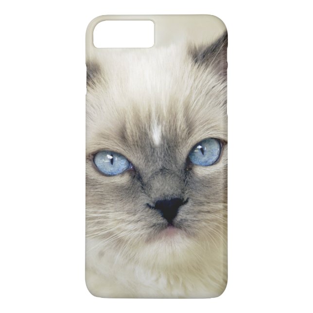 Capa Para iPhone, Case-Mate Gatinho Ragdoll (Verso)