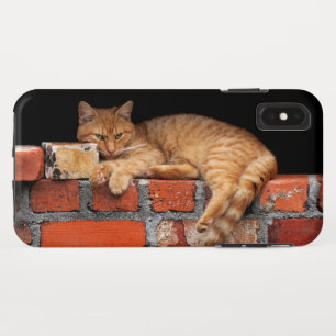 Capa Para iPhone Da Case-Mate Gato na Parede Brick