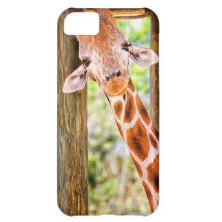 Capa Para iPhone 5C Girafa bonito