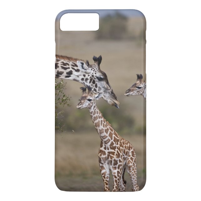 Capa Para iPhone, Case-Mate Girafa Masai (Giraffa tippelskirchi) (Verso)