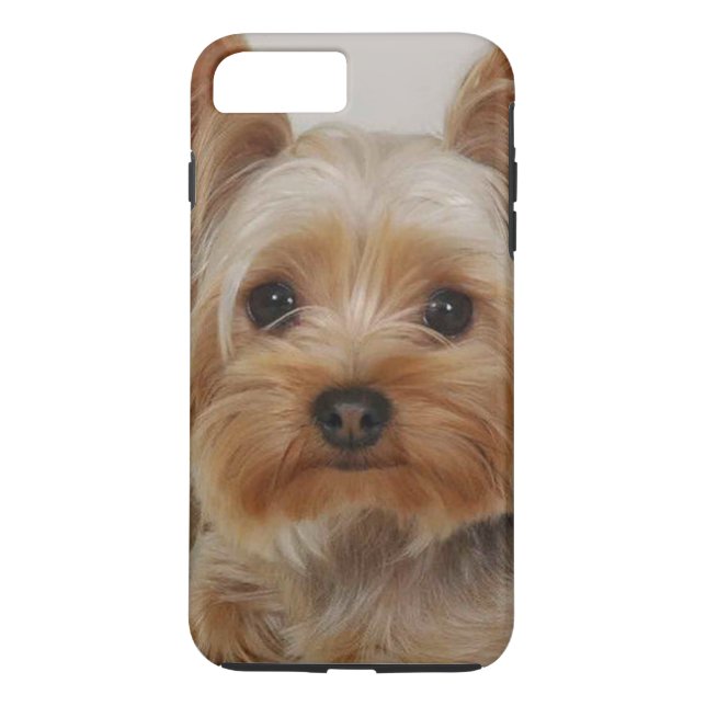 Capa Para iPhone, Case-Mate Gorgeous Yorkshire Terrier (Verso)