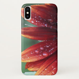 Capa Para iPhone X Gotas vermelhas das pétalas e da chuva do girasso