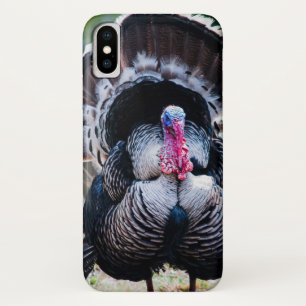 Capa Para iPhone Da Case-Mate Grande Dia de Férias de Ação de Graças na Turq
