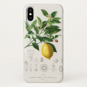 Capa Para iPhone Da Case-Mate Ilustração Botânica de Limonium de Fruta Cítrica d