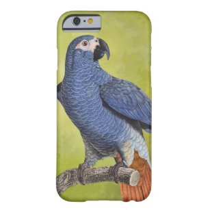 Capa Barely There Para iPhone 6 Ilustração tropical do papagaio do vintage dos