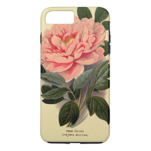Capa iPhone 8 Plus/7 Plus iPhone 7 da peônia positivo, resistente