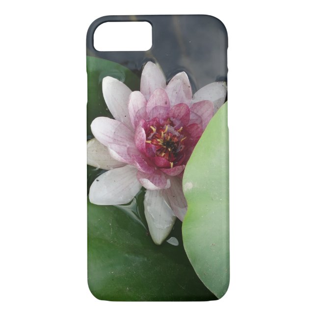 Capa Para iPhone, Case-Mate iPhone / iPad case de beleza (Verso)