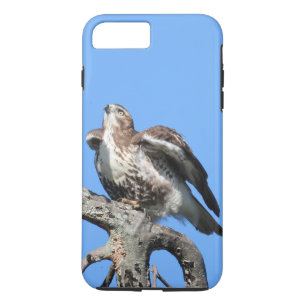 Capa iPhone 8 Plus/7 Plus Juvenil Red Tail Hawk