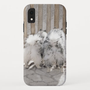 Capa Para iPhone Da Case-Mate Keeshonds na Pintura de Portão - Arte de Cachorro