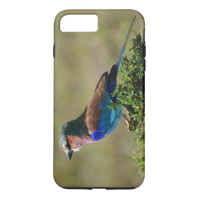 Capa Para iPhone, Case-Mate Lilac Brested Roller Bird iPhone 7 Case (Verso)