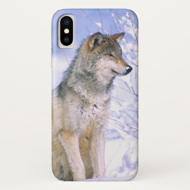 Capa Para iPhone, Case-Mate Lobo Cinzento sentado na Neve, Canis lupus, (Verso)