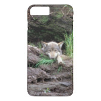 Lobo-Madeira Selvagem em Den