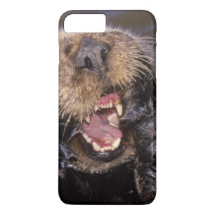 Capa Para iPhone Da Case-Mate Lontras Marinhas, Enhydra lutris 6