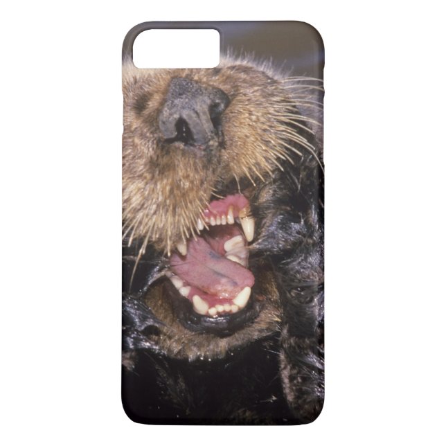 Capa Para iPhone, Case-Mate Lontras Marinhas, Enhydra lutris 6 (Verso)