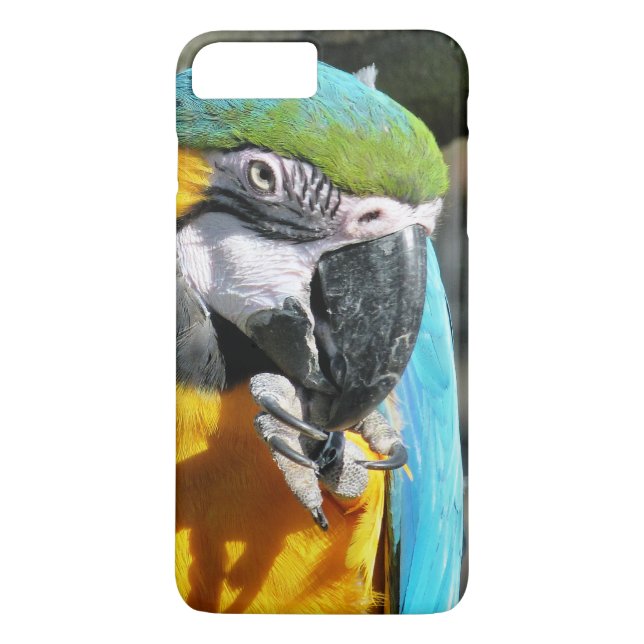 CAPA PARA iPhone, Case-Mate  MACAWS (Verso)