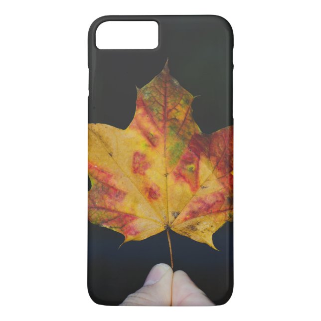 Capa Para iPhone, Case-Mate macro Folha Amarela de outono (Verso)