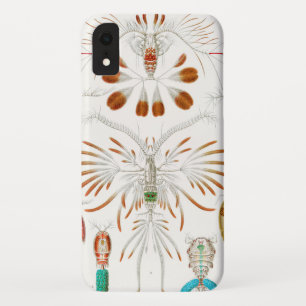 Capa Para iPhone Da Case-Mate Marine Life Crustaceans, Copepoda por Ernst Haecke