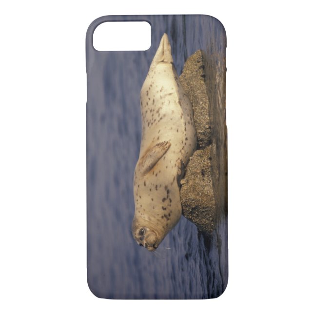 Capa Para iPhone, Case-Mate N.A., EUA, Califórnia, Monterey. Harbor Seal (Verso)