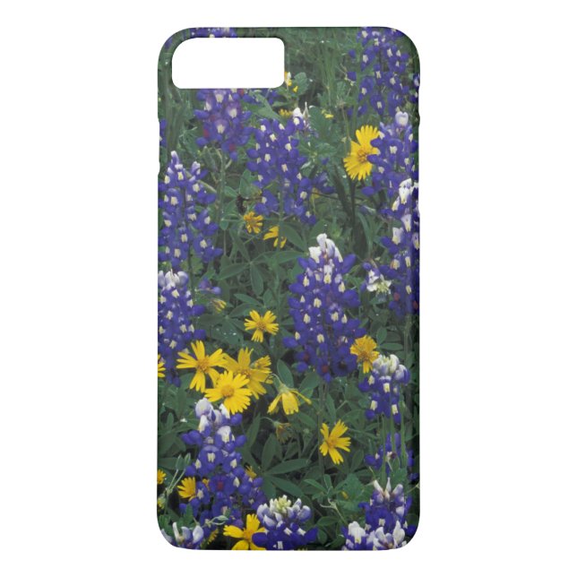 Capa Para iPhone, Case-Mate N.A, EUA, Texas, Marble Falls, Blue Bonnets (Verso)