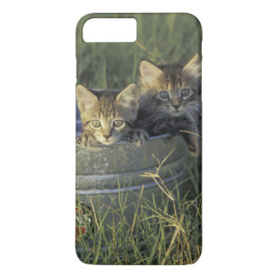 Capa Para iPhone Da Case-Mate NA, EUA, Flórida, Flórida rural. Com oito semanas